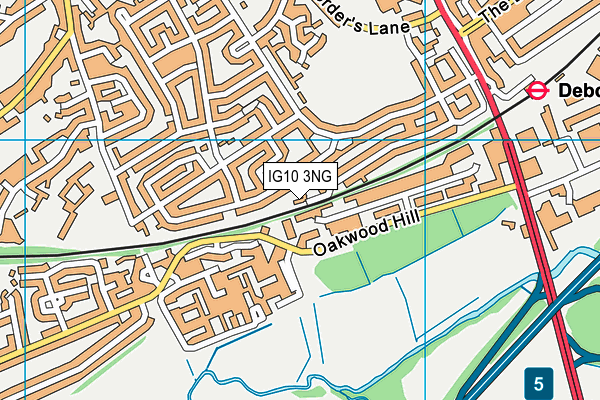 IG10 3NG map - OS VectorMap District (Ordnance Survey)