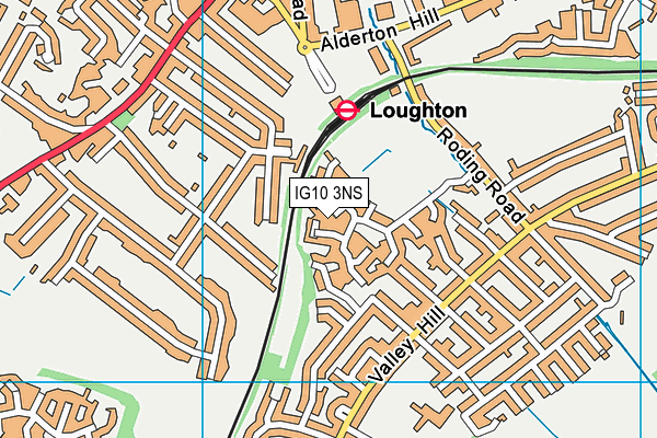 IG10 3NS map - OS VectorMap District (Ordnance Survey)