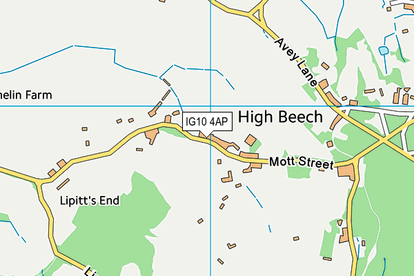 High Beech CofE Primary School map (IG10 4AP) - OS VectorMap District (Ordnance Survey)