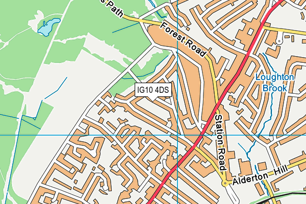 IG10 4DS map - OS VectorMap District (Ordnance Survey)