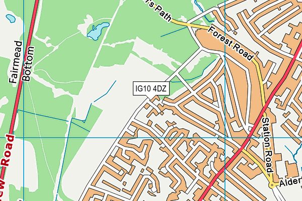 IG10 4DZ map - OS VectorMap District (Ordnance Survey)