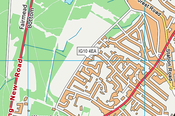 IG10 4EA map - OS VectorMap District (Ordnance Survey)