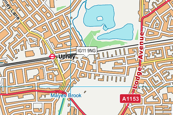 IG11 9NG map - OS VectorMap District (Ordnance Survey)