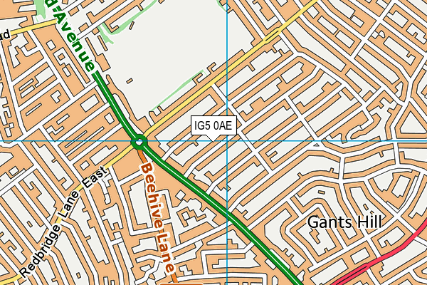 IG5 0AE map - OS VectorMap District (Ordnance Survey)