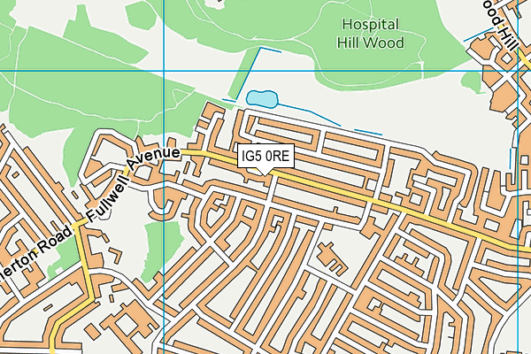 IG5 0RE map - OS VectorMap District (Ordnance Survey)