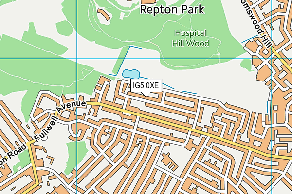 IG5 0XE map - OS VectorMap District (Ordnance Survey)