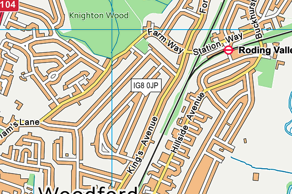 IG8 0JP map - OS VectorMap District (Ordnance Survey)