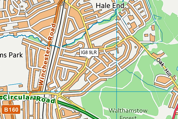 IG8 9LR map - OS VectorMap District (Ordnance Survey)