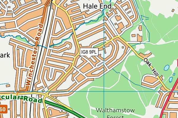 IG8 9PL map - OS VectorMap District (Ordnance Survey)