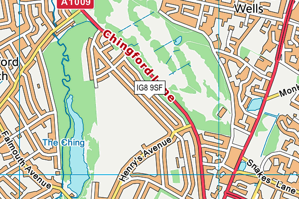 IG8 9SF map - OS VectorMap District (Ordnance Survey)