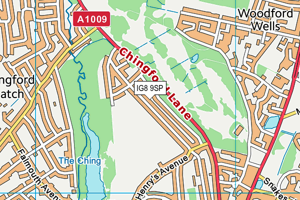 IG8 9SP map - OS VectorMap District (Ordnance Survey)