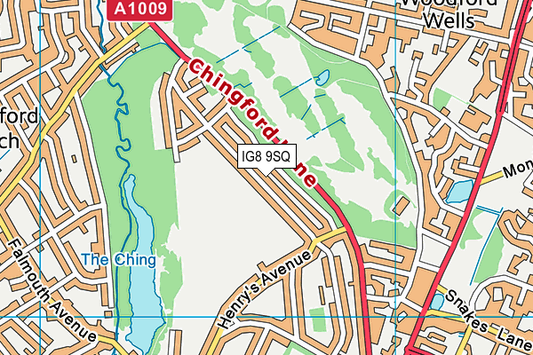 IG8 9SQ map - OS VectorMap District (Ordnance Survey)