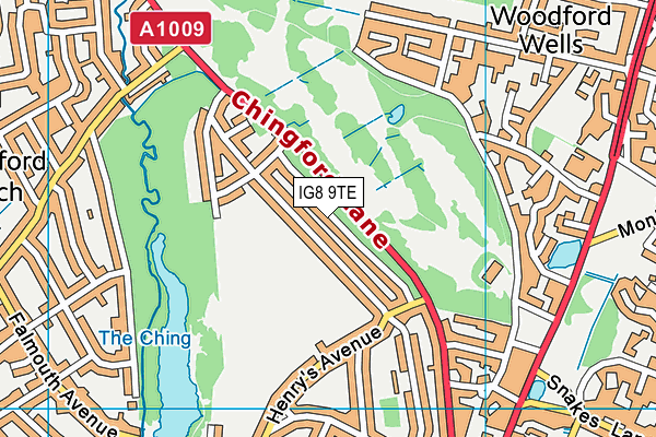 IG8 9TE map - OS VectorMap District (Ordnance Survey)