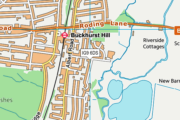 Buckhurst Hill Community Primary School map (IG9 6DS) - OS VectorMap District (Ordnance Survey)