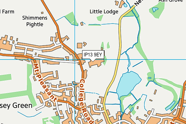 Framlingham College map (IP13 9EY) - OS VectorMap District (Ordnance Survey)