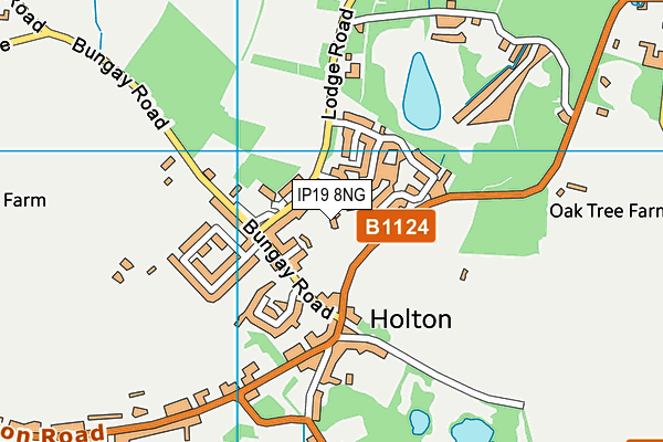 IP19 8NG map - OS VectorMap District (Ordnance Survey)