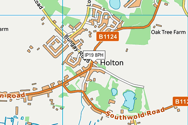 IP19 8PH map - OS VectorMap District (Ordnance Survey)