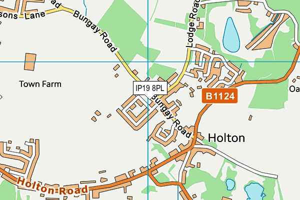 Holton St Peter County Primary School map (IP19 8PL) - OS VectorMap District (Ordnance Survey)