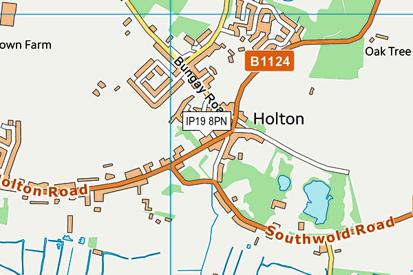 IP19 8PN map - OS VectorMap District (Ordnance Survey)