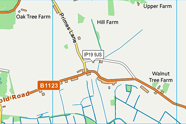 IP19 9JS map - OS VectorMap District (Ordnance Survey)