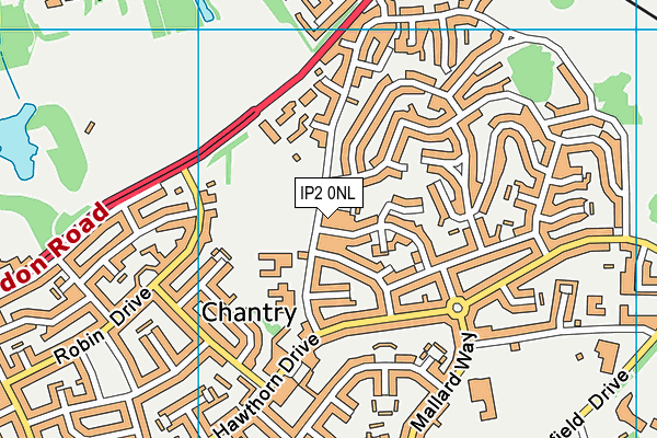 IP2 0NL map - OS VectorMap District (Ordnance Survey)