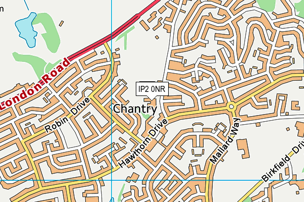The Oaks Primary School map (IP2 0NR) - OS VectorMap District (Ordnance Survey)