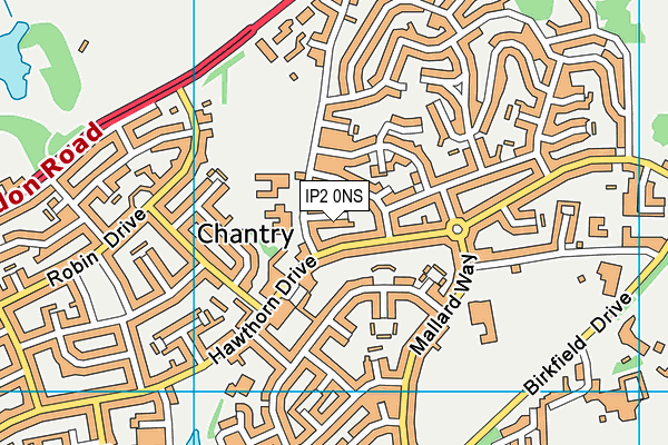 IP2 0NS map - OS VectorMap District (Ordnance Survey)