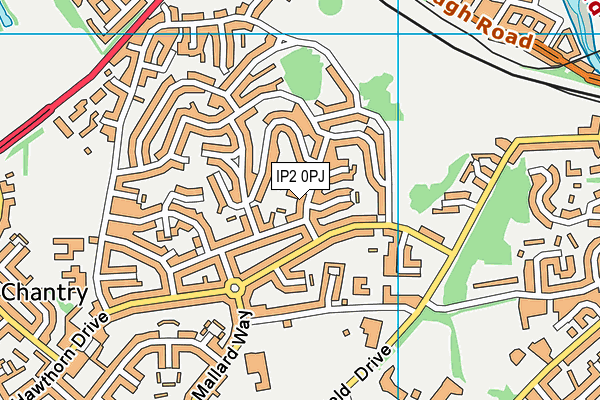 IP2 0PJ map - OS VectorMap District (Ordnance Survey)