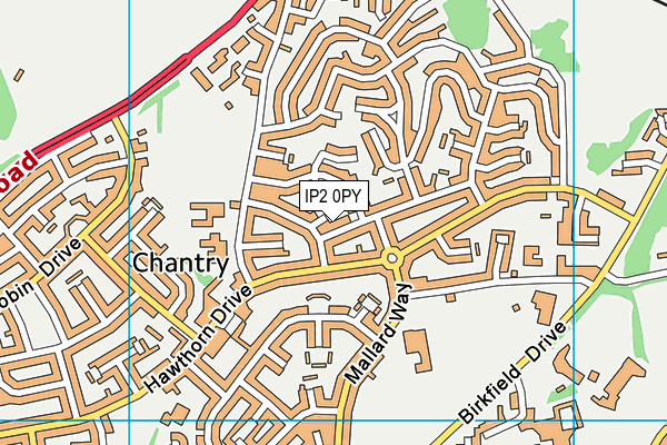 IP2 0PY map - OS VectorMap District (Ordnance Survey)