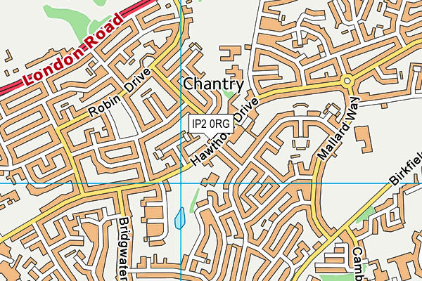 IP2 0RG map - OS VectorMap District (Ordnance Survey)
