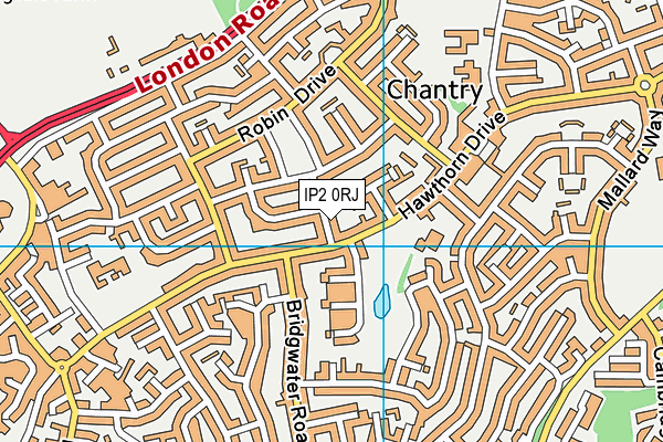 IP2 0RJ map - OS VectorMap District (Ordnance Survey)