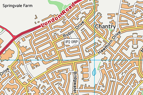 IP2 0RP map - OS VectorMap District (Ordnance Survey)