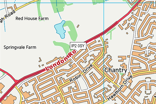 IP2 0SY map - OS VectorMap District (Ordnance Survey)