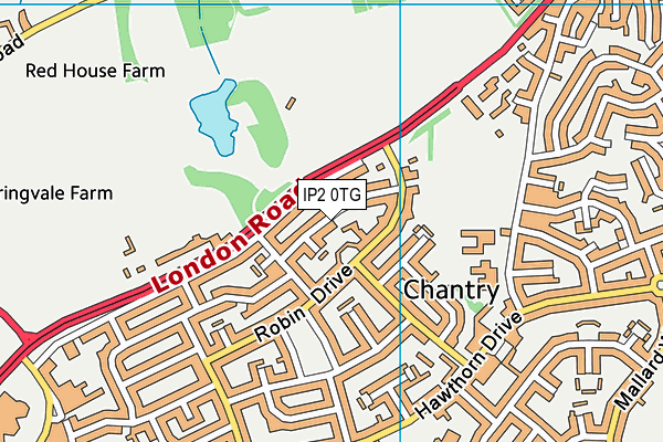 IP2 0TG map - OS VectorMap District (Ordnance Survey)