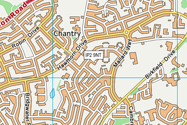IP2 9NT map - OS VectorMap District (Ordnance Survey)