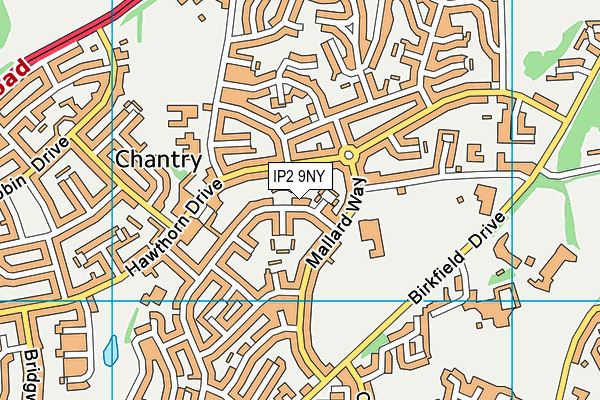 IP2 9NY map - OS VectorMap District (Ordnance Survey)