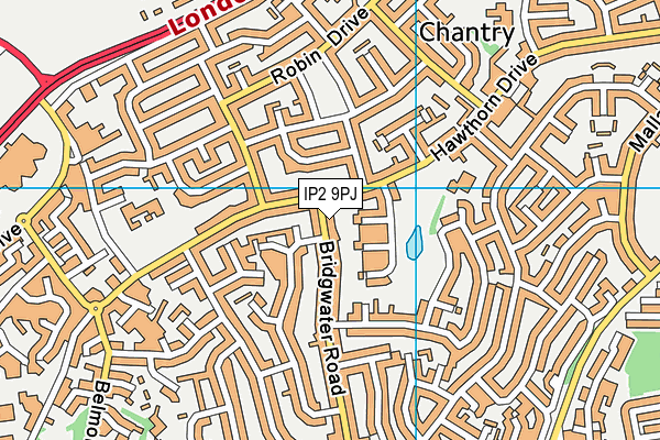 IP2 9PJ map - OS VectorMap District (Ordnance Survey)