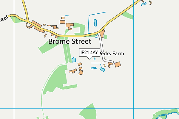 IP21 4AY map - OS VectorMap District (Ordnance Survey)