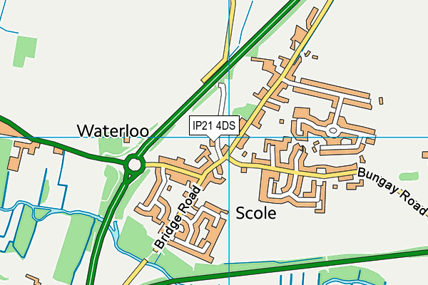 IP21 4DS map - OS VectorMap District (Ordnance Survey)