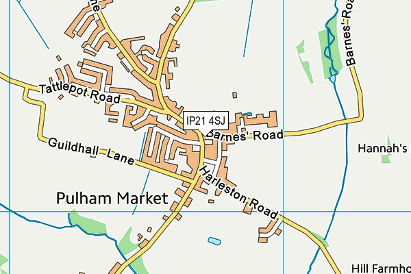 IP21 4SJ map - OS VectorMap District (Ordnance Survey)