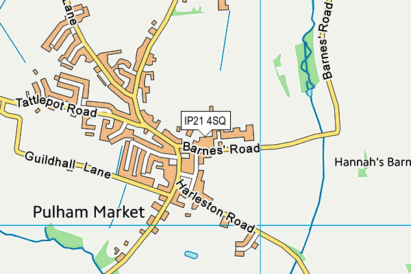 IP21 4SQ map - OS VectorMap District (Ordnance Survey)