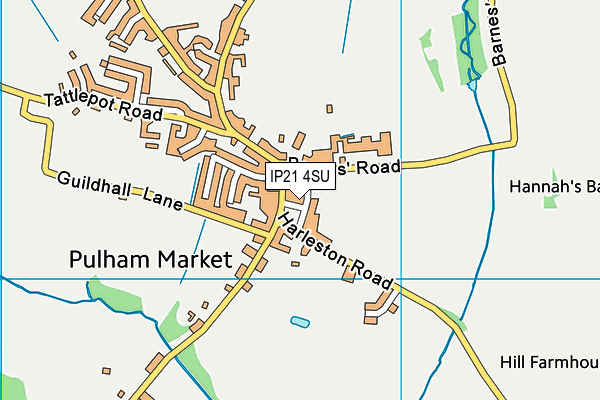 IP21 4SU map - OS VectorMap District (Ordnance Survey)