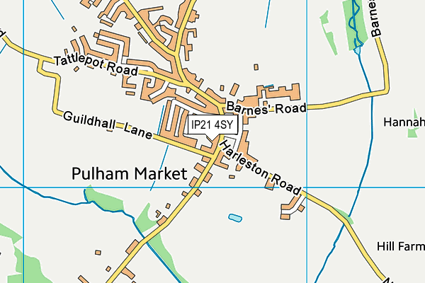 IP21 4SY map - OS VectorMap District (Ordnance Survey)