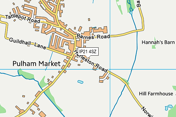 Pulham Church of England Primary School map (IP21 4SZ) - OS VectorMap District (Ordnance Survey)