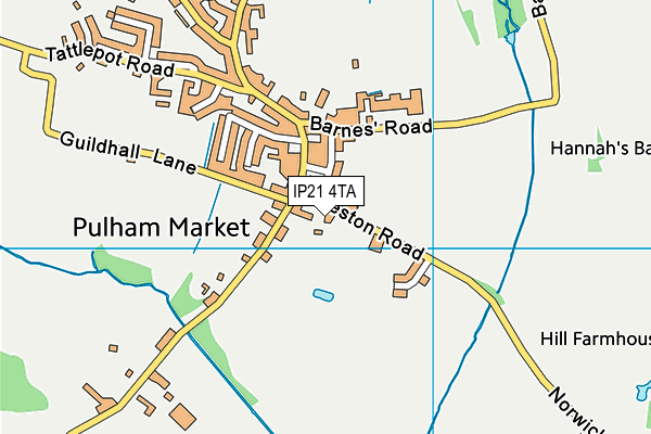 IP21 4TA map - OS VectorMap District (Ordnance Survey)