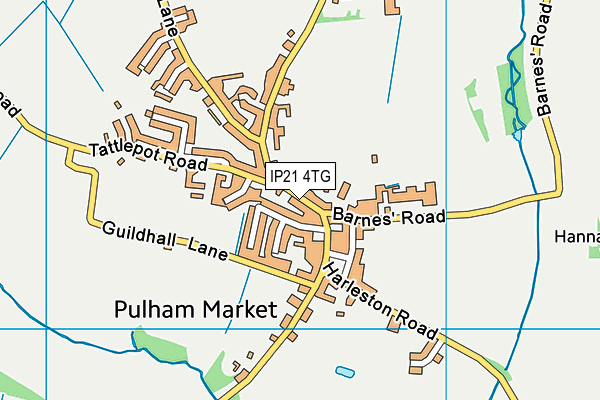 Pulham Market Methodist Church map (IP21 4TG) - OS VectorMap District (Ordnance Survey)