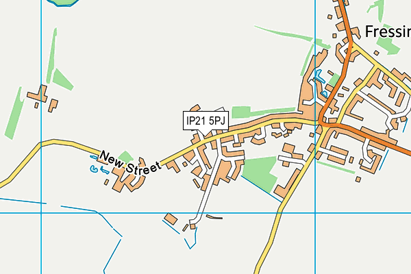 IP21 5PJ map - OS VectorMap District (Ordnance Survey)