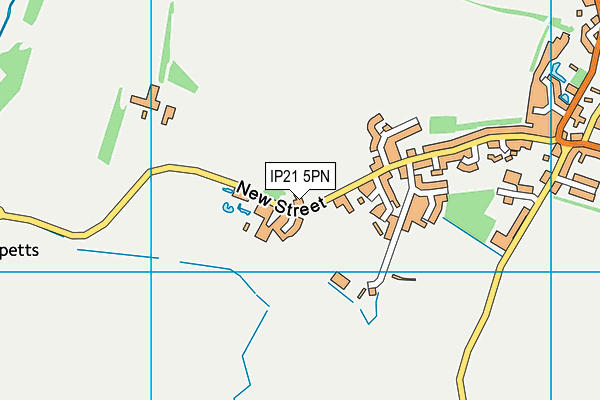 IP21 5PN map - OS VectorMap District (Ordnance Survey)