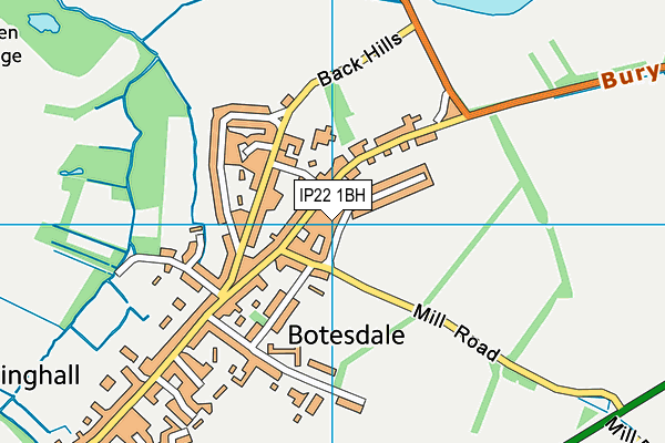 IP22 1BH map - OS VectorMap District (Ordnance Survey)