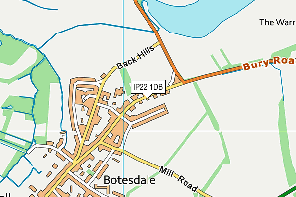 IP22 1DB map - OS VectorMap District (Ordnance Survey)